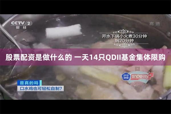 股票配资是做什么的 一天14只QDII基金集体限购