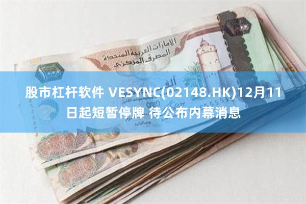 股市杠杆软件 VESYNC(02148.HK)12月11日起短暂停牌 待公布内幕消息