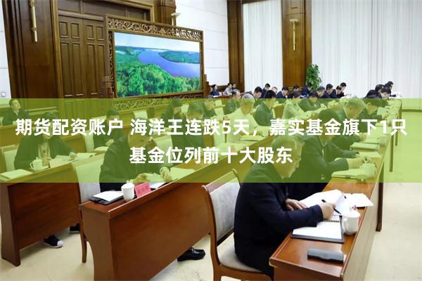 期货配资账户 海洋王连跌5天，嘉实基金旗下1只基金位列前十大股东