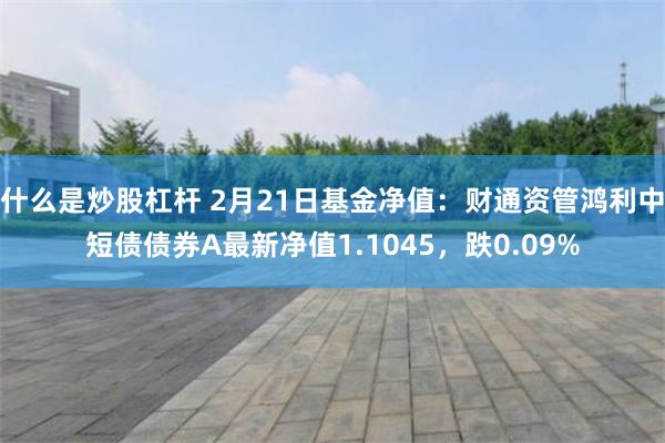 什么是炒股杠杆 2月21日基金净值：财通资管鸿利中短债债券A最新净值1.1045，跌0.09%