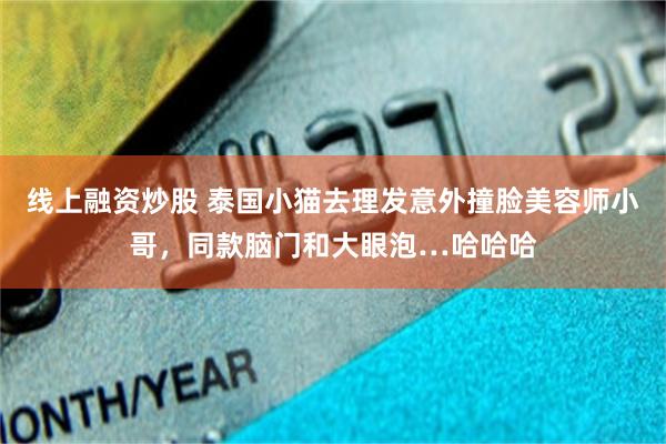 线上融资炒股 泰国小猫去理发意外撞脸美容师小哥，同款脑门和大眼泡…哈哈哈