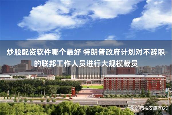 炒股配资软件哪个最好 特朗普政府计划对不辞职的联邦工作人员进行大规模裁员