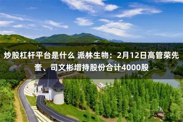 炒股杠杆平台是什么 派林生物：2月12日高管荣先奎、司文彬增持股份合计4000股