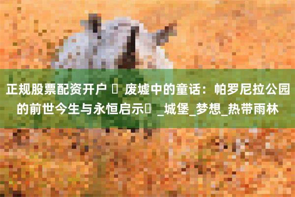 正规股票配资开户 ‌废墟中的童话：帕罗尼拉公园的前世今生与永恒启示‌_城堡_梦想_热带雨林