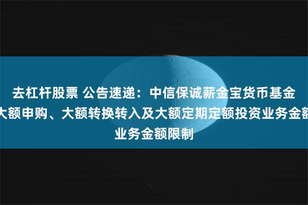 去杠杆股票 公告速递：中信保诚薪金宝货币基金调整大额申购、大额转换转入及大额定期定额投资业务金额限制