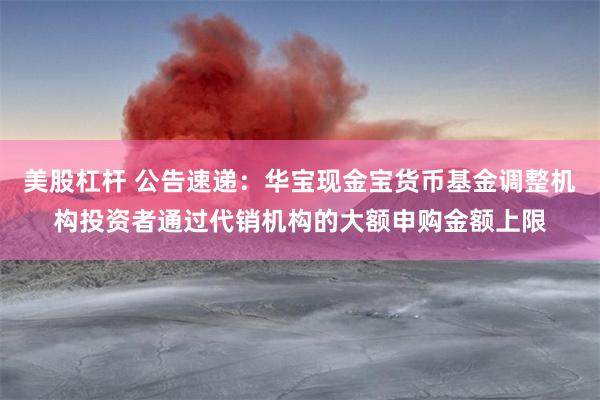 美股杠杆 公告速递：华宝现金宝货币基金调整机构投资者通过代销机构的大额申购金额上限