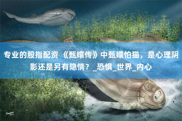 专业的股指配资 《甄嬛传》中甄嬛怕猫，是心理阴影还是另有隐情？_恐惧_世界_内心