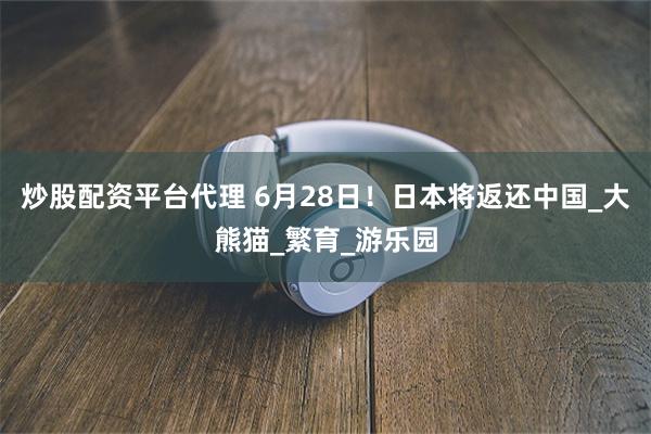 炒股配资平台代理 6月28日！日本将返还中国_大熊猫_繁育_游乐园