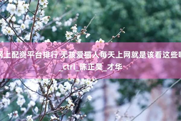网上配资平台排行 无孩爱猫人每天上网就是该看这些啊_ctrl_陈正昊_才华