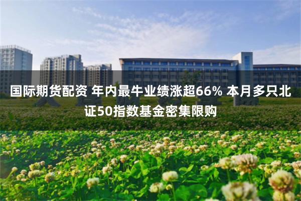 国际期货配资 年内最牛业绩涨超66% 本月多只北证50指数基金密集限购