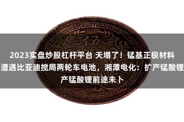 2023实盘炒股杠杆平台 天塌了！锰基正极材料小霸主，遭遇比亚迪搅局两轮车电池，湘潭电化：扩产锰酸锂前途未卜