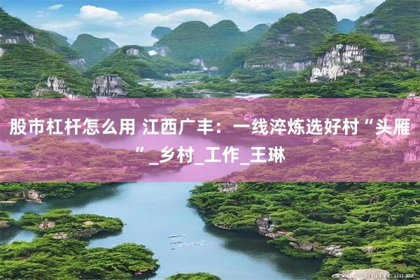 股市杠杆怎么用 江西广丰：一线淬炼选好村“头雁”_乡村_工作_王琳