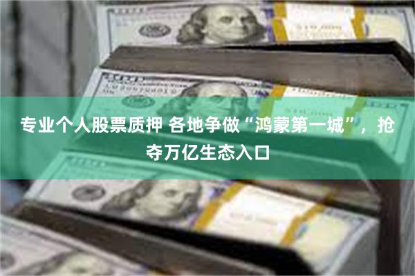 专业个人股票质押 各地争做“鸿蒙第一城”，抢夺万亿生态入口